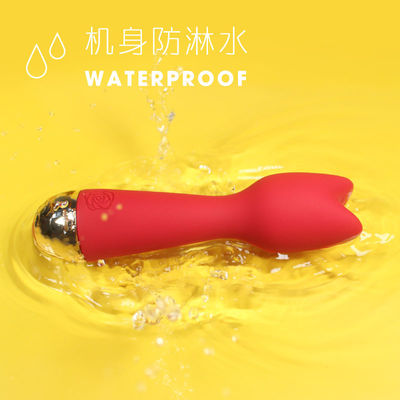 USB Rechargeable Facial Wand Massager 500mAh With Cute Cat Head